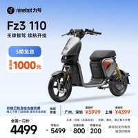 九号（Ninebot）九号电动Fz3 110 新国标电自 智能长续航电动自行车【门店自提】 到门店选颜色