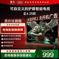 TCL雷鸟电视 43雀4 43英寸 低蓝光无频闪 自定义遥控器 无开机广告 43F195C-JN 43英寸 平板电视