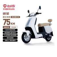 台铃电动摩托车明星长续航电动车1200W智能电摩铅酸电池72V22Ah通勤代步汉玉白