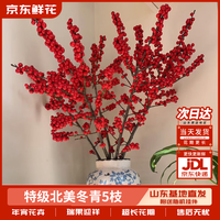 京东鲜花【北美冬青】5枝A级新春年宵花红发财果招财鲜枝山东基地源头直发