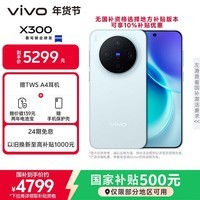 vivo X300 16GB+512GB 自在蓝 蔡司2亿超级主摄 蔡司APO超级长焦 5年持久流畅OriginOS 6 拍照 AI手机