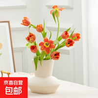 【郁金香】郁金香鲜切花跨晚同款云南鲜花基地直发 随机色郁金香10枝