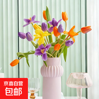 【郁金香】郁金香鲜切花跨晚同款云南鲜花基地直发 随机多巴胺色郁金香10枝