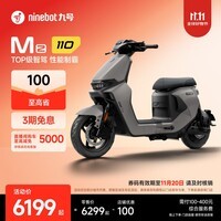 九号(Ninebot)【千玺同款】Mz 110 电动自行车2025款 智能智驾 长续航可上牌 【门店自提】 到门店选颜色
