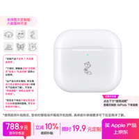 Apple/苹果 AirPods 4  图文定制版（支持定制春日踏青限定款）