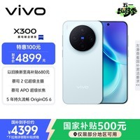 vivo X300 16GB+256GB 自在蓝 蔡司2亿超级主摄 蔡司APO超级长焦 5年持久流畅OriginOS 6 拍照 AI手机
