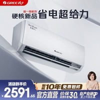 格力（GREE）空调挂机天仪Pro1.5匹/1p 新一级能效 变频冷暖两用 净菌自清洁壁挂式  天仪Pro 1.5匹 新品