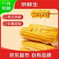 京鲜生 东北黄玉米260g*10棒 真空包装黏玉米棒粘玉米 源头直发