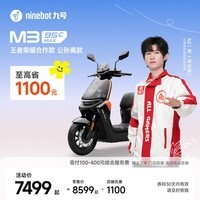 九号（Ninebot）电动摩托车 M3 95c MAX 王者荣耀合作款 公孙离 高端铅酸电摩【门店自提】 到门店选颜色