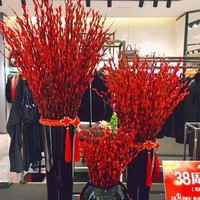 清洁YAV 红色银柳鲜枝 银柳60cm(20支装)