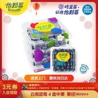 怡颗莓Driscoll\'s云南蓝莓14mm+ 4盒装 约125g/盒 新鲜年货水果