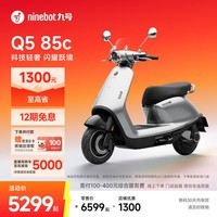 九号（Ninebot）电动摩托车Q5 85c 智能智驾 长续航电摩 智能碳晶电池【门店自提】 到门店选颜色