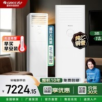 格力(GREE)云佳 一级能效 3匹 变频冷暖 WiFi智控 自清洁 大风量 商居两用 客厅家用方形客厅柜机 云佳 商居两用 3匹