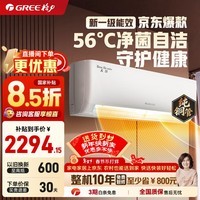 格力（GREE）天仪(云欢同款) 新一级 变频冷暖 56℃自清洁 家用节能壁挂式卧室空调挂机 以旧换新 家电国家补贴 大1匹一级能效天仪挂机 格力