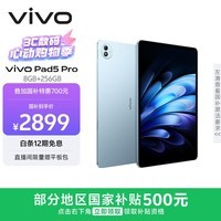 vivo Pad5 Pro 8GB+256GB 春潮蓝 国家补贴15% 蓝晶×天玑9400 13英寸原彩护眼屏 12050mAh 平板电脑