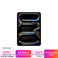Apple/苹果 iPad Pro11英寸 M5芯片 2025年新款平板电脑 2T纳米玻璃 WLAN版 银色