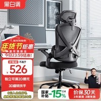黑白调P5双背人体工学椅电脑椅子学习椅人工力学座椅子办公椅独立腰托 P5双背款【可调2D腰托+3D扶手】