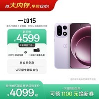 一加 15 16GB+512GB 雾光紫 oppo 第五代骁龙 8 至尊版 165Hz超高刷 旗舰游戏电竞5G智能手机 国家补贴