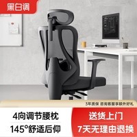 黑白调P1人体工学椅电脑椅办公椅子人工力学座椅久坐学习椅标配