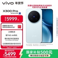 vivo X300 Pro 16GB+512GB 自在蓝 蔡司2亿APO超级长焦 蓝图影像双芯 5年持久流畅OriginOS 6 AI手机