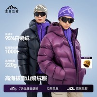 喜马拉雅玉龙PRO鹅绒服1000蓬95绒高海拔雪山攀登专业户外抗寒防风羽绒服 晚空紫 1000蓬95鹅绒 2XL 充绒量230g