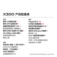 vivo X300  12GB+256GB 惬意紫 【地方补贴专享版】蔡司2亿超级主摄 蔡司APO超级长焦 拍照 AI手机