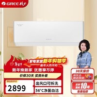 格力（GREE）1.5匹 天仪 一级能效 变频冷暖 净菌自洁 出风口可拆洗 纯铜管空调挂机 KFR-35GW/(35504)FNhAa-B1