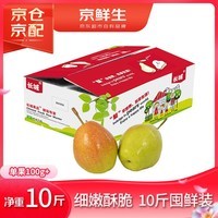 京鲜生 红香酥梨 净重10斤 单果100g+ 生鲜水果礼盒