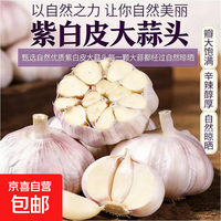 京喜自营大蒜头紫白皮大蒜京东买菜生鲜调料即食凉拌大蒜 【优选】净重1斤单果3.5-5cm