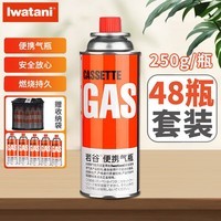 岩谷（Iwatani）卡式炉气罐燃气罐瓦斯气安全防爆丁烷气罐户外便携煤气罐装气体 原装大气250g*48瓶+收纳包