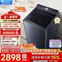 小天鹅（LittleSwan）12公斤波轮洗衣机全自动 变频水魔方 超微净泡洗 减震平衡 除菌除螨 一级能效以旧换新家电补贴 波轮 TB12U21丨超微净泡洗丨直驱变频丨AI智投