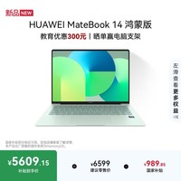 华为MateBook 14 鸿蒙版笔记本电脑 国家补贴 2.8K OLED触控屏 鸿蒙AI 24GB 512GB原野绿 圆键盘