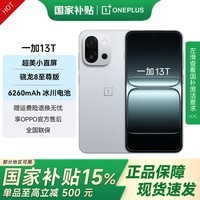 一加 13T 国家补贴 性能超强小直屏 骁龙 8 至尊版 冰川电池 AI 5G游戏oppo手机 晨雾灰 16GB+1TB 官方标配【全国联保】