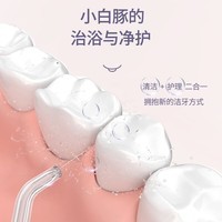 博皓（prooral）冲牙器家用便携洗牙器冲洗器正畸专用电动洁牙器水牙线牙齿清洗器牙垢牙结石清洁器 5012 白