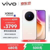 vivo X300 12GB+256GB 幸运彩 国家补贴 蔡司2亿超级主摄 蔡司APO超级长焦 OriginOS6 拍照 AI手机