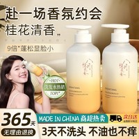 碧然堂桂花氨基酸柔顺洗发水持久留香减油蓬松顺滑不毛躁男女洗头洗发露 柔顺 500ml*1瓶