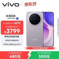 vivo X300 12GB+256GB 惬意紫 蔡司2亿超级主摄 蔡司APO超级长焦 5年持久流畅OriginOS 6 拍照 AI手机