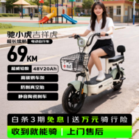 驰小虎电动自行车 【京东联合定制】吉祥虎新国标电动车电动自行车48V20Ah电池长续航成人电瓶车代步车绿