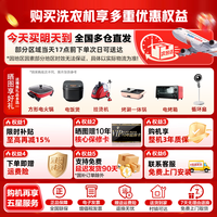 海尔（Haier）云溪4.0洗衣机10公斤波轮直驱变频全自动双动力防缠绕洗衣机一级能效大容量电离除菌 以旧换新 【26年新品】双动力+顽渍洗1.42+十维减震 波轮