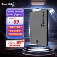 长城(Great Wall)128GB SSD固态硬盘 SATA3.0接口 读速540MB/S台式机/笔记本通用 GW560系列