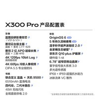 vivo X300 Pro 卫星通信版 16GB+1TB 自在蓝 蔡司2亿APO超级长焦 蓝图影像双芯 拍照 AI手机