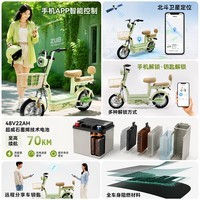 五星钻豹电动自行车A43新国标长续航电动车48V22AH石墨烯铅酸智能日常通勤代步可上牌源彩浅绿/纳沙绿