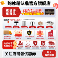海信(Hisense)冰箱双开门冰箱一级节能无霜超薄冰箱大容量556升变频电冰箱家电国家补贴换新BCD-556WFK1DP 556L【大容量超薄节能】