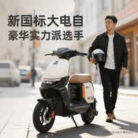 绿源【北京专享】S35D 豪华智能电动自行车新国标可上牌 48V30Ah锂电长续航通勤代步电瓶车 到门店选颜色