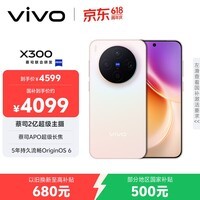 vivo X300 12GB+256GB 幸运彩 国家补贴 蔡司2亿超级主摄 蔡司APO超级长焦 OriginOS6 拍照 AI手机