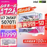 七彩虹RTX5080 5070 5060 Ti主机台式diy组装电脑AI设计电竞直播游戏整机 配四：265KF + RTX 5070Ti主机