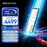 致态（ZhiTai）长江存储 4TB SSD固态硬盘 NVMe M.2接口 TiPlus9100 系列 (PCIe 5.0 产品)