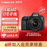 佳能（Canon）6D2 专业全画幅单反相机 4K延时短片 高清人像6D二代 佳能复古数码相机  佳能6d2 24-105套机