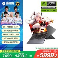 机械革命【国家补贴20%】蛟龙16Pro 2025 16英寸游戏电竞笔记本电脑(R9-8945HX 16G 1T RTX5060 300HZ  灰)