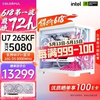 七彩虹RTX5080 5070 5060 Ti主机台式diy组装电脑AI设计电竞直播游戏整机 配置五：265KF+RTX5080主机